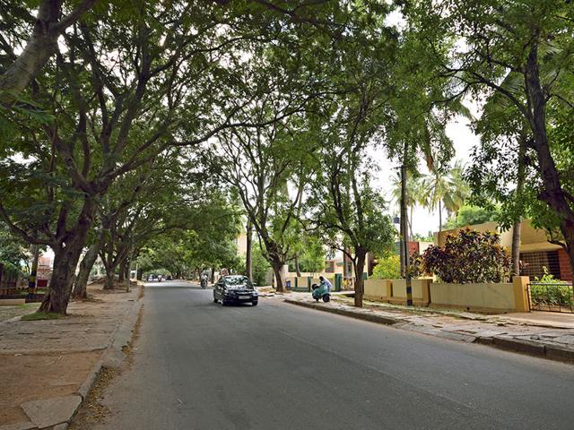 The survey covered 476 cities and municipalities in 31 states and union territories, each with a population of over 100,000 people. View of Kamakshi Hospital Road, Saraswathipuram (Pavan Kumar KJ/HT Photo)
