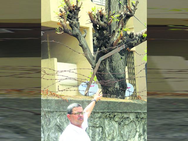 Ajay Marathe, a chemical engineer from IIT-Bombay, works as an animal welfare officer with the state government. (HT photo)