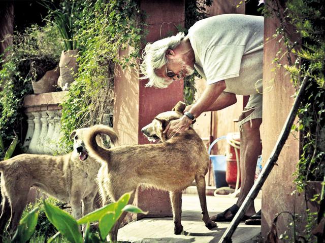 Strays No More Mixed Breed Canines Find Home Hindustan Times La animal services operates six animal shelters throughout the city of los angeles.