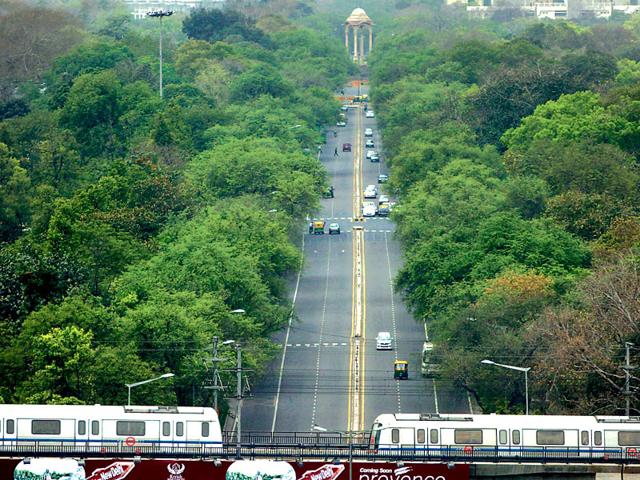 For-a-city-like-Delhi-a-constant-struggle-between-urbanisation-and-preserving-the-forest-has-become-a-daily-feature-Sonu-Mehta-HT-Photo