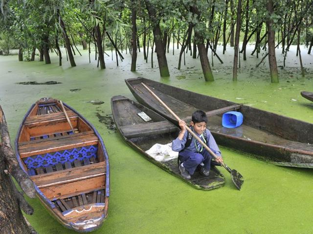 A school boy rows in the interior of Nageen lake in Srinagar. HT/Photo