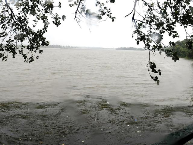 A farm inundated in Shajapur district on Sunday. (HT photo) A farm inundated in Shajapur district on Sunday. (HT photo)