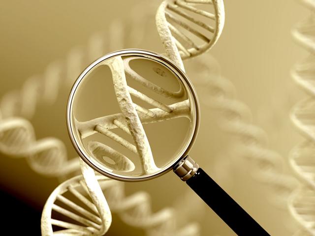 Representative photo of human DNA. The union cabinet is likely consider a bill to create national DNA database of all those in conflict with law including suspects and volunteers. The bill that aims to provide legal backing to use of DNA in criminal and civil suits is slated for introduction in the monsoon session of Parliament. (Photo credit: Shutterstock)