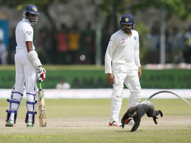 Sri Lanka's Jehan Mubarak, left, and India's Rohit Sharma watch as a monkey runs on to the pitch. (Reuters Photo) Sri Lanka's Jehan Mubarak, left, and India's Rohit Sharma watch as a monkey runs on to the pitch. (Reuters Photo)