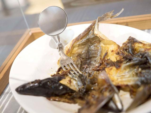 A fork with mirror 'for eating a fish' on display at 'Nonseum' museum. The founders who got the idea after organising the country’s first fair of failed inventions in 1984, which unexpectedly became a huge success. (AFP Photo/ Joe Klamar) A fork with mirror 'for eating a fish' on display at 'Nonseum' museum. The founders who got the idea after organising the country’s first fair of failed inventions in 1984, which unexpectedly became a huge success. (AFP Photo/ Joe Klamar)