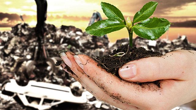 The future of energy sector should be towards a future in which fossil fuels cease to dominate.(Shutterstock) The future of energy sector should be towards a future in which fossil fuels cease to dominate.(Shutterstock)