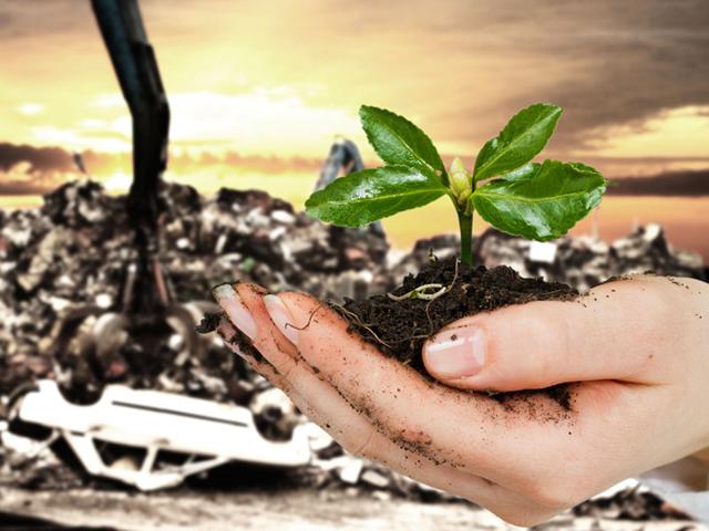India generates about 350 million tonnes of agricultural waste every year and the ministry of new and renewable energy estimates this waste can generate more than 18,000 MW of power every year apart from generating green fertiliser for farms. (photo/Shutterstock) India generates about 350 million tonnes of agricultural waste every year and the ministry of new and renewable energy estimates this waste can generate more than 18,000 MW of power every year apart from generating green fertiliser for farms. (photo/Shutterstock)