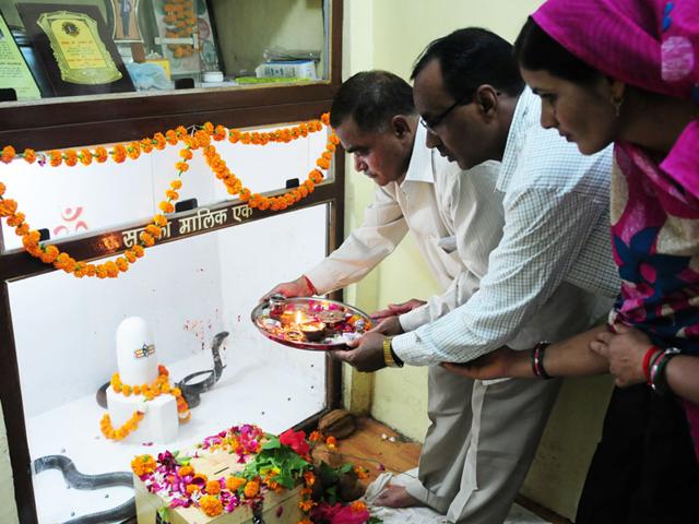 Famous snake catcher Mohammad Saleem and others worship a cobra pair at the former's Snake Research Centre in Bhopal on Wednesday. (Mujeeb Faruqui)