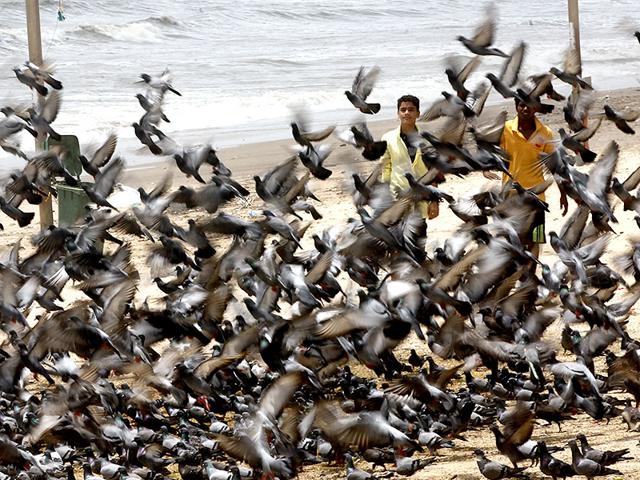 A scene at the Juhu beach in Mumbai. (Arijit Sen/HT photo)