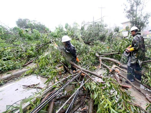 Workers clear a road with fallen trees after Typhoon Goni battered Baguio city in northern Philippines. (Reuters Photo)