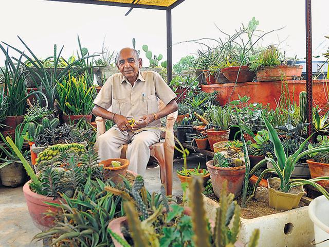 78-year-old retired zoology professor Bhagwan Prasad Saxena has named his house ‘Cactus House’ and has been collecting plants since 1957. (Sunil Ghosh/ HT Photo)