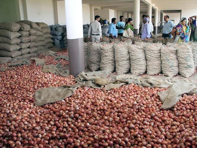 District administration teams searched 14 godowns in Indore on Thursday and found 9,000 sacks of onion weighing roughly 50 kg each. (HT photo)
