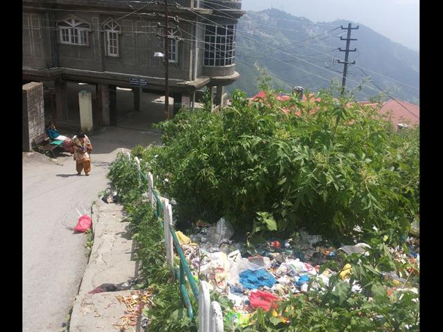 Garbage lying in open spaces is beginning to attract stray dogs and monkeys with the ongoing strike of sanitation worlers entering its second week. (HT Photo)