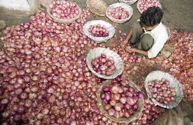 Wholesale onion prices grew 65.29% in August compared with last year. (HT Photo) Wholesale onion prices grew 65.29% in August compared with last year. (HT Photo)