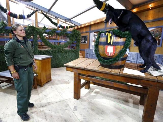 A little bit for me too! A German police officer and a sniffer dog named Anton inspect a beer barrel before the opening of the 182nd Oktoberfest in Munich. (REUTERS)