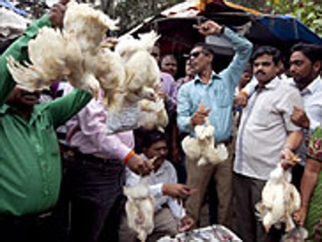 A chicken is for sale by a Shiv Sena activist at an open stall outside a local market during a protest on the first day of a four day ban on sale of meat at Agar Bazaar, Dadar in Mumbai, India, on Thursday, September 10, 2015.(ht photo)
