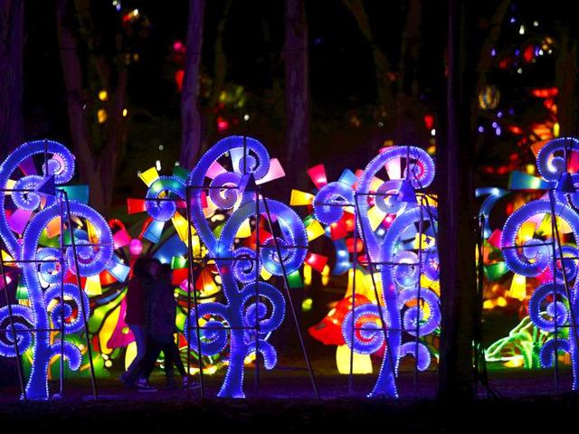 To complement the visual experience, visitors are treated to ambient music as well. (Reuters)
