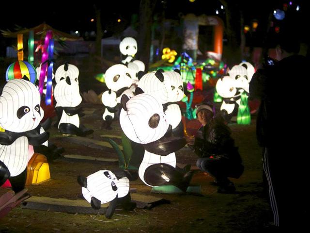 Dandenong Festival of Light has been promoted by an organisation called Chinese Culture Works. (Reuters)