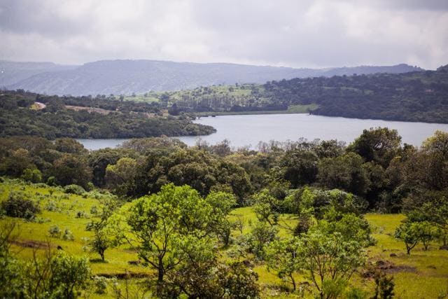 Kaas Plateau is 15km from the bank of the Koyna river, where you can enjoy boating and a quiet picnic (Lovell D’Souza)