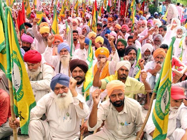 Farmer Kuldeep Singh. Farmer Kuldeep Singh.