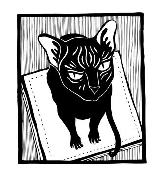 A cat called Gerard in Kyrgyzstan - Illustrations from their book To Magic Places (Photo: Roving Snails) A cat called Gerard in Kyrgyzstan - Illustrations from their book To Magic Places (Photo: Roving Snails)