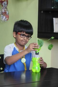 A JBCN International student conducts an experiment to observe the growth of a plant in different conditions.