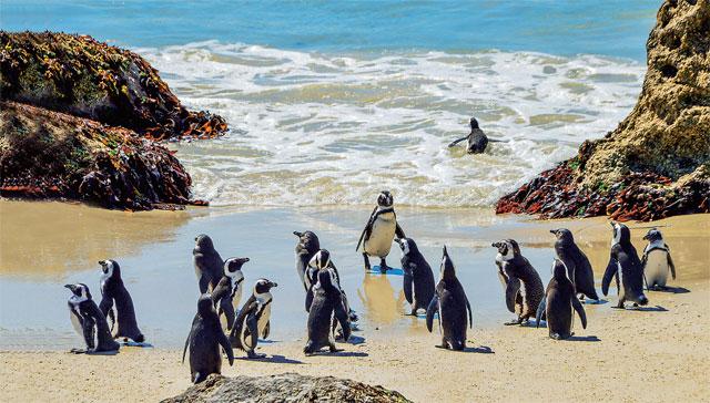 (Photo: iStock) (Photo: iStock)