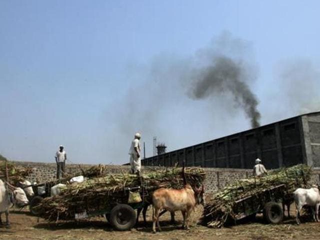 File photo of Malegaon sugar co-operative in Baramati in Maharashtra.(Satish Bate/HT photo) File photo of Malegaon sugar co-operative in Baramati in Maharashtra.(Satish Bate/HT photo)