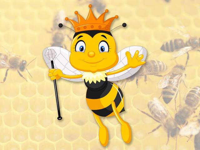 Farmers who are into apiculture keep ‘ rani makkhi (queen bee) in specially designed wooden boxes so that they may attract thousands of ‘labour bees’ to prepare sweet honey for queen bee. (Shutterstock Image for representational purpose) Farmers who are into apiculture keep ‘ rani makkhi (queen bee) in specially designed wooden boxes so that they may attract thousands of ‘labour bees’ to prepare sweet honey for queen bee. (Shutterstock Image for representational purpose)