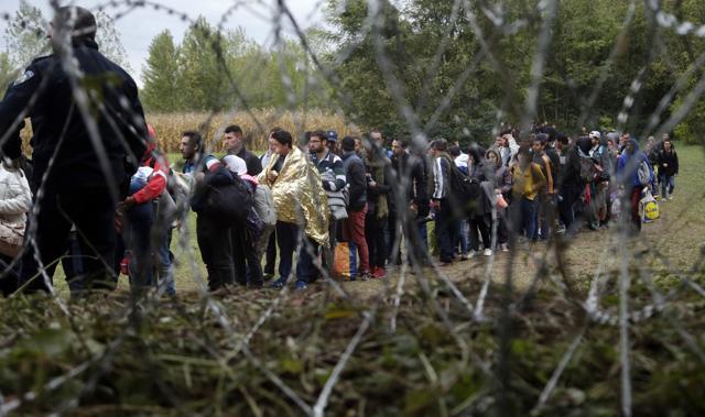 A group of migrants crosses a border from Croatia near the village of Zakany in Hungary. (AP) A group of migrants crosses a border from Croatia near the village of Zakany in Hungary. (AP)