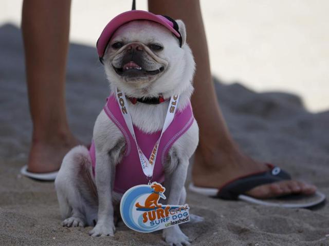 Another competitor cools off in the shade after he finished his round. The event managed to raise more than $6,000 for its non-profit partners. (REUTERS)