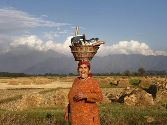 A Kashmiri woman farmer returns home, carrying utensils in a willow basket , after working in a paddy field in Srinagar. (Abid Bhat/Ht Photo)