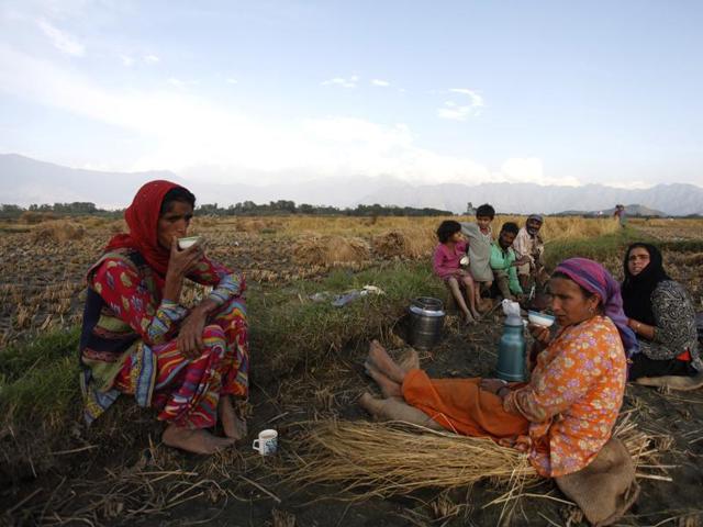 Kashmiri Muslim farmers taking a break from work in paddy fields. (Abid Bhat/HT Photo)