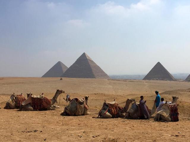 Camels resting between rides with their owners against the backdrop of the pyramids in Giza. (AP)