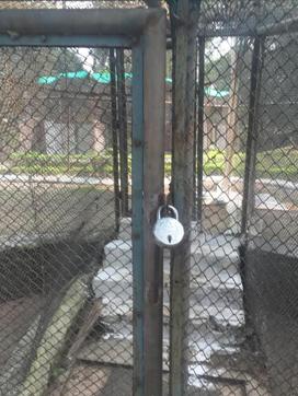 The owl cage’s lock point at Chhatbir. (PHOTO: VIKRAM JIT SINGH) The owl cage’s lock point at Chhatbir. (PHOTO: VIKRAM JIT SINGH)