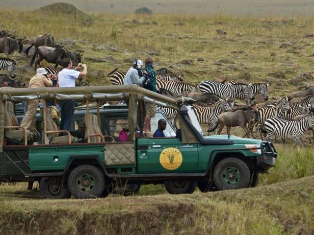 Tourists watching the great migration of hundreds and thousands of wildebeest and zebras. (AFP)
