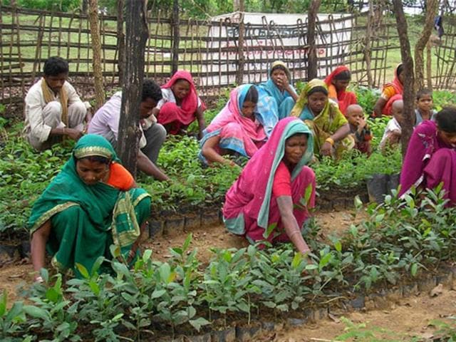 The ministry of environment, forest and climate change (MoEFCC) has not responded in the past eight months to a slew of letters from the tribal affairs ministry (MoTA) asking for its comments on the report, HT has learnt through the Right to Information (RTI) Act.(HT Photo) The ministry of environment, forest and climate change (MoEFCC) has not responded in the past eight months to a slew of letters from the tribal affairs ministry (MoTA) asking for its comments on the report, HT has learnt through the Right to Information (RTI) Act.(HT Photo)