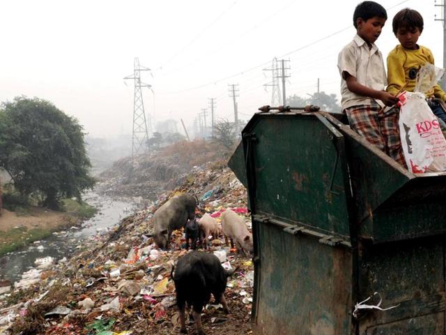 Ragpickers carrying plastic bags and waste from the garbage dump at Chotti Nadi near Gurbaksh Colony in Patiala on Thursday. (Bharat Bhushan/HT)