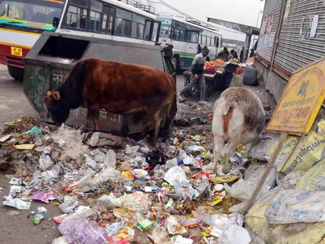 Garbage strewn out on a roadside in Shimla (HT Photo) Garbage strewn out on a roadside in Shimla (HT Photo)