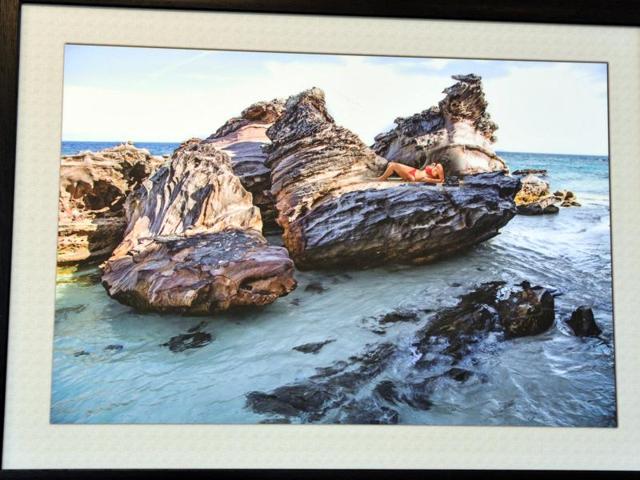 Nature’s wonders ‘Creativity of Creator’ by Dinesh Verma  (Keshav Singh/HT Photo) 