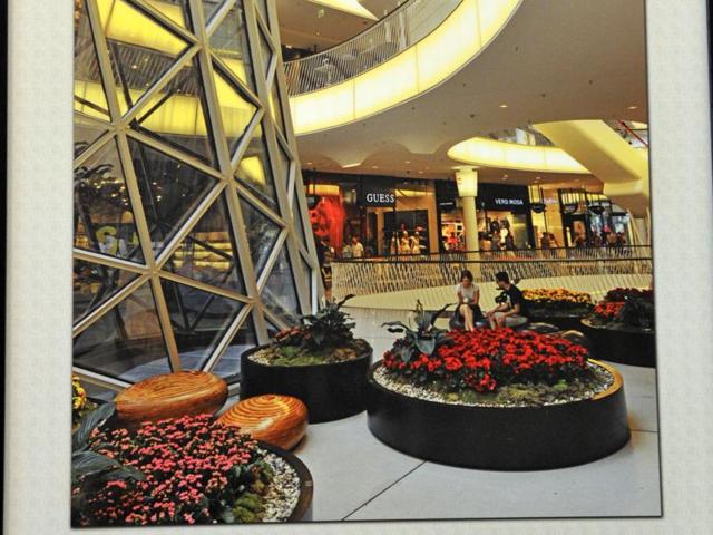 Urban jungle: ‘Chequered Lives’ by Navneet Saxena (keshav singh/ht photo) Urban jungle: ‘Chequered Lives’ by Navneet Saxena (keshav singh/ht photo)