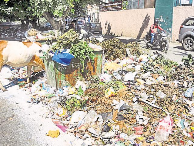 Garbage lying outside a dustbin at Municipal Road in Dehradun on Thursday. (Vinay Santosh Kumar/HT Photo) Garbage lying outside a dustbin at Municipal Road in Dehradun on Thursday. (Vinay Santosh Kumar/HT Photo)