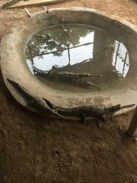  (PHoto: Vikram Jit Singh)