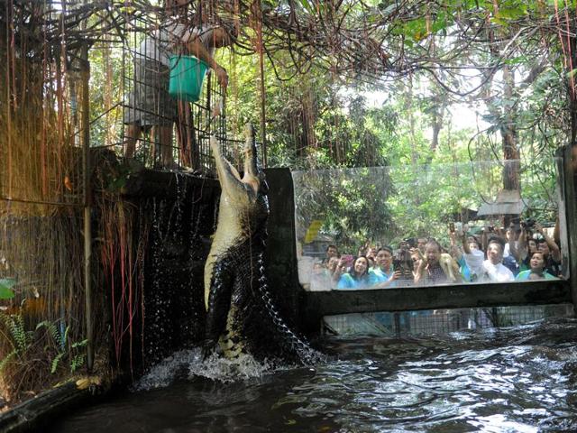 A Roman Catholic priest blesses a crocodile as it is fed, with holy water on the eve of World Animal Day at Malabon Zoo in suburban Manila on October 3, 2015. (AFP)