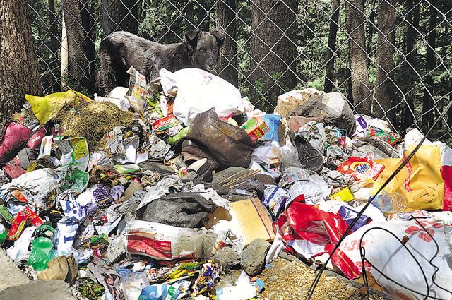 A file photo of garbage littered in the open in Shimla. (Santosh Rawat/HT Photo) A file photo of garbage littered in the open in Shimla. (Santosh Rawat/HT Photo)