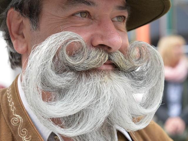 <p>Meet the bearded gentlemen who have gathered in Austria to compete in the World Beard Championship 2015. More than 300 facial hair aficionados from across the globe came together in Leogang, Austria with elaborately-styled beards. There were three groupings at the event: moustache, partial beard and full beard.</p><p>Within each group, there were several categories, ranging from the 'Dali' moustache to the 'Garibaldi' full beard.</p><p>The jury members decide which category participants belong in at the start of the competition. Watch the video and tell us which one is your favourite.</p>