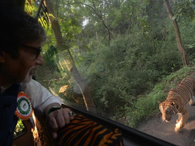 Amitabh Bachchan was chased for 4 km within Mumbai’s Film City by this tiger. The star took to social media to share his experience.(Facebook) Amitabh Bachchan was chased for 4 km within Mumbai’s Film City by this tiger. The star took to social media to share his experience.(Facebook)