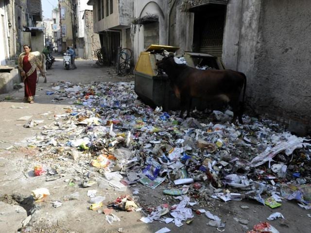 Referring to the solid waste management system in the city, Ninu Sehgal said the issue of haphazardly created collection points for garbage will also be raised during the board meeting. (HT photo) Referring to the solid waste management system in the city, Ninu Sehgal said the issue of haphazardly created collection points for garbage will also be raised during the board meeting. (HT photo)