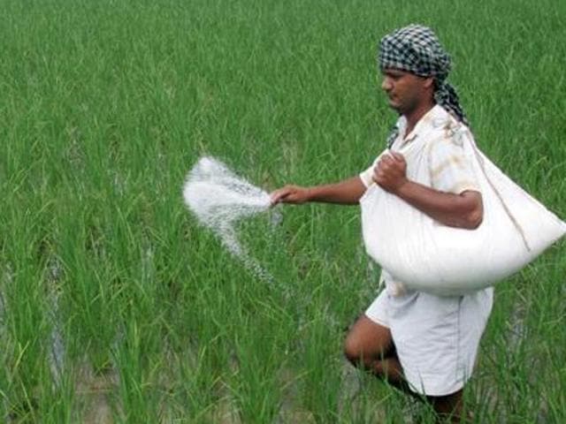 Article image Article image