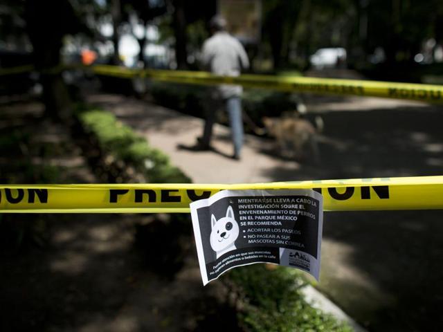 A man walks his dog on a leash past an area of Parque Mexico that is cordoned off as officials investigate reported cases of dog poisoning in the Condesa neighbourhood of Mexico City. The sign reads in Spanish: "While the investigation into the poisoning of dogs in Parque Mexico is being carried out, it is recommended that you shorten your walks and do not walk your dog without a leash." (AP Photo) A man walks his dog on a leash past an area of Parque Mexico that is cordoned off as officials investigate reported cases of dog poisoning in the Condesa neighbourhood of Mexico City. The sign reads in Spanish: "While the investigation into the poisoning of dogs in Parque Mexico is being carried out, it is recommended that you shorten your walks and do not walk your dog without a leash." (AP Photo)